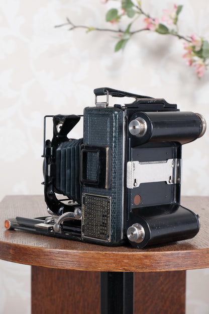 1934 Green Voigtlander Bergheil Camera with Heliar lens and roll film back! Freshly serviced, CLA'd! - Voigtlander- Petrakla Classic Cameras