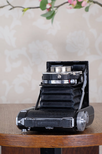 Rare! 1938 Balda Baldaxette, 6x4.5 Coupled Rangefinder camera, CLA'd, Freshly Serviced!