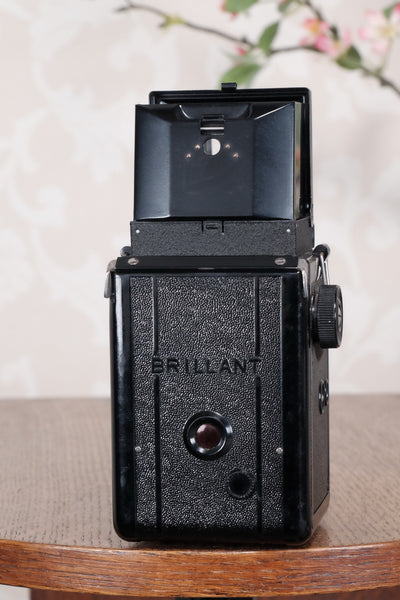 1938 Voigtlander Brillant 6x6 TLR, CLA'd, Freshly Serviced! - Voigtlander- Petrakla Classic Cameras