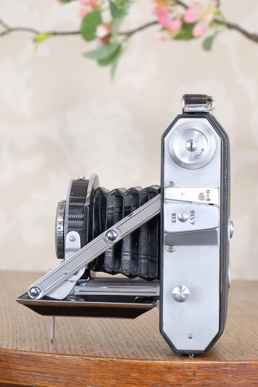 Near Mint! 1949 Welta Weltax 6x6 camera with “T” Coated Carl Zeiss Tessar lens, CLAd, Freshly Serviced!