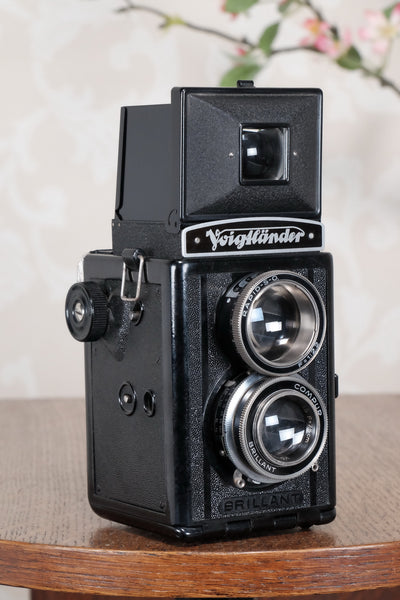 1938 Voigtlander Brillant 6x6 TLR, CLA'd, Freshly Serviced! - Voigtlander- Petrakla Classic Cameras