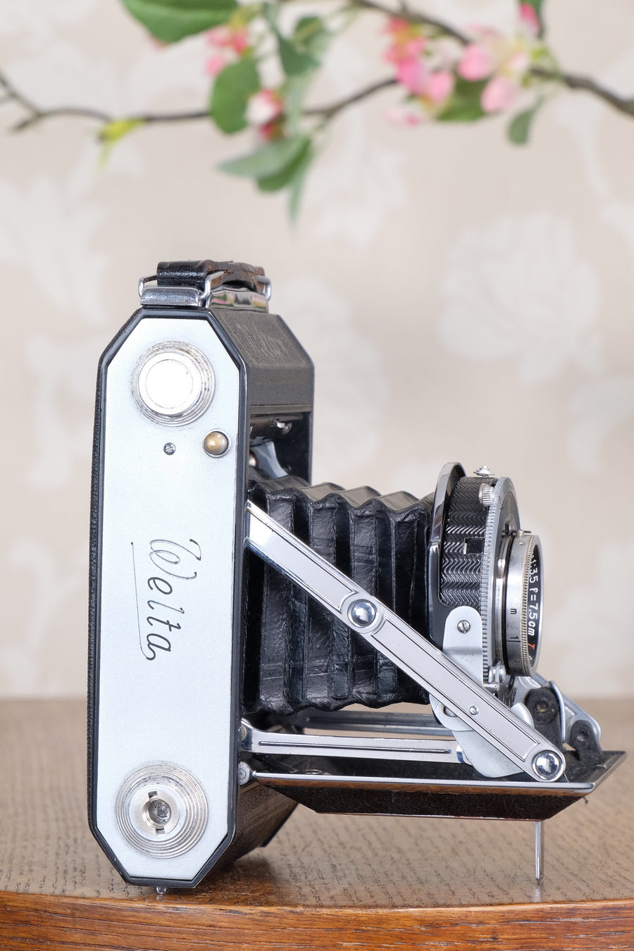 Near Mint! 1949 Welta Weltax 6x6 camera with “T” Coated Carl Zeiss Tessar lens, CLAd, Freshly Serviced!