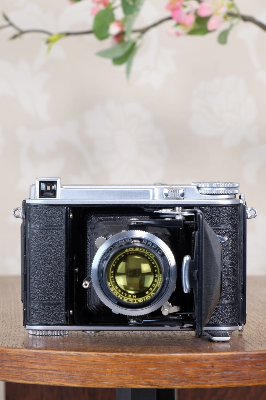 Rare! 1939 Voigtlander “Klein Bessa” 66 with Heliar lens! CLA'd, Freshly Serviced!