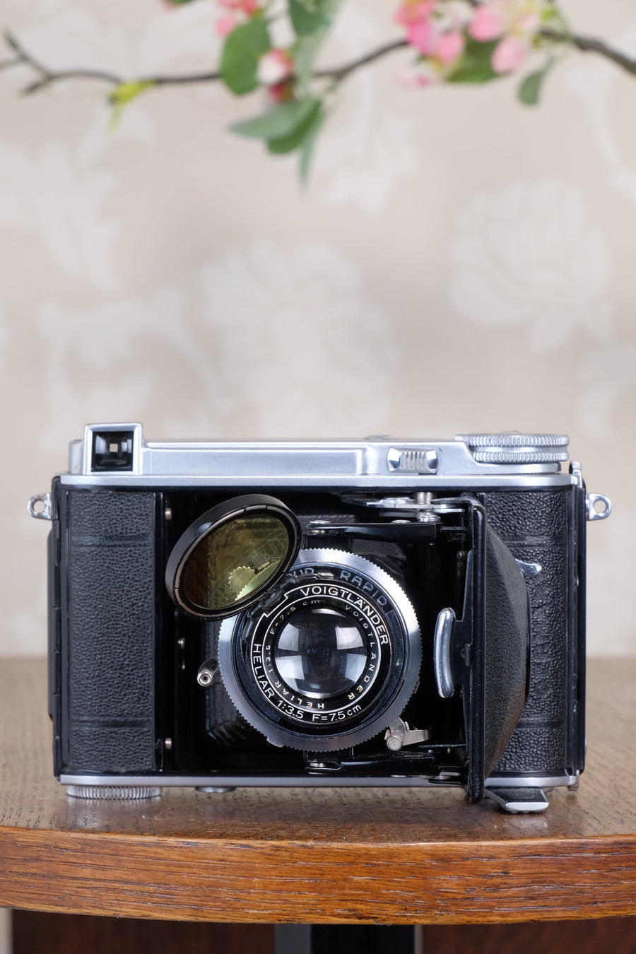 Rare! 1939 Voigtlander “Klein Bessa” 66 with Heliar lens! CLA'd, Freshly Serviced!