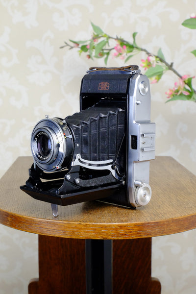 Excellent! 1955 6x9 Zeiss-Ikon Nettar, CLA'd, Freshly Serviced! - Zeiss-Ikon- Petrakla Classic Cameras