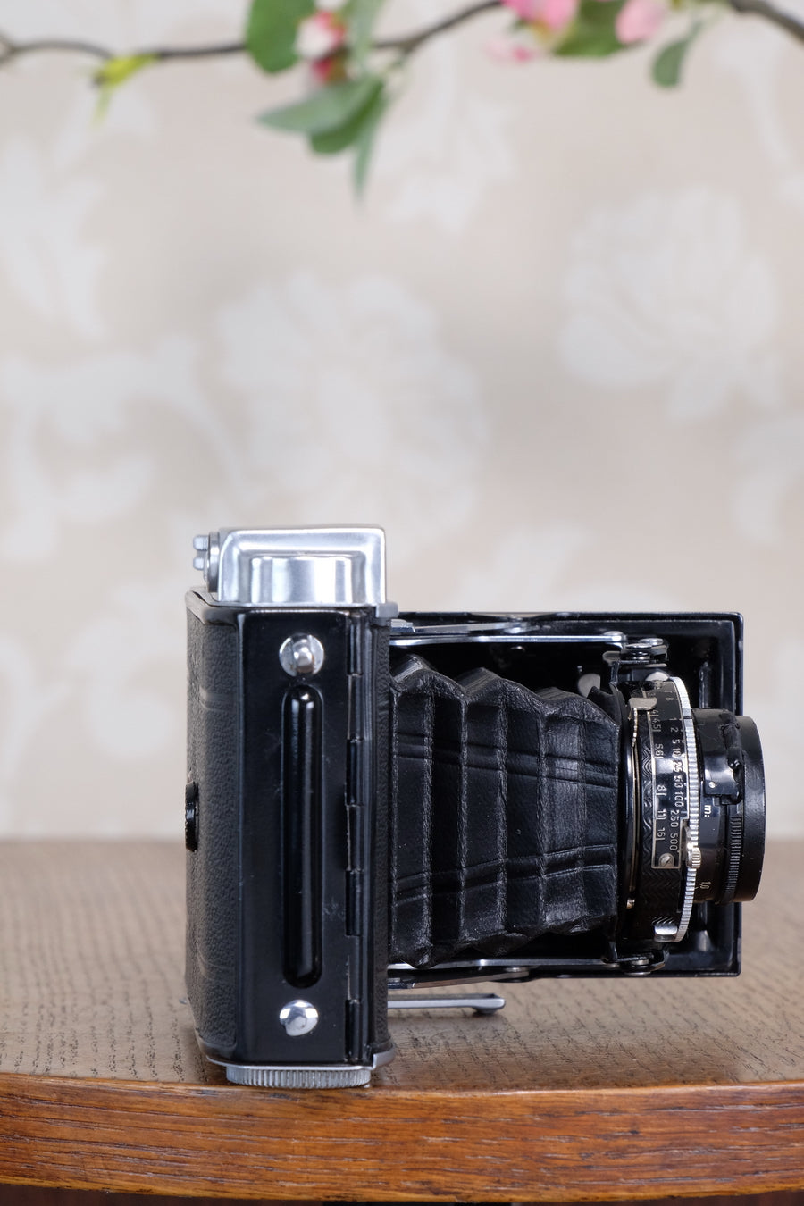 Rare! 1939 Voigtlander “Klein Bessa” 66 with Heliar lens! CLA'd, Freshly Serviced!