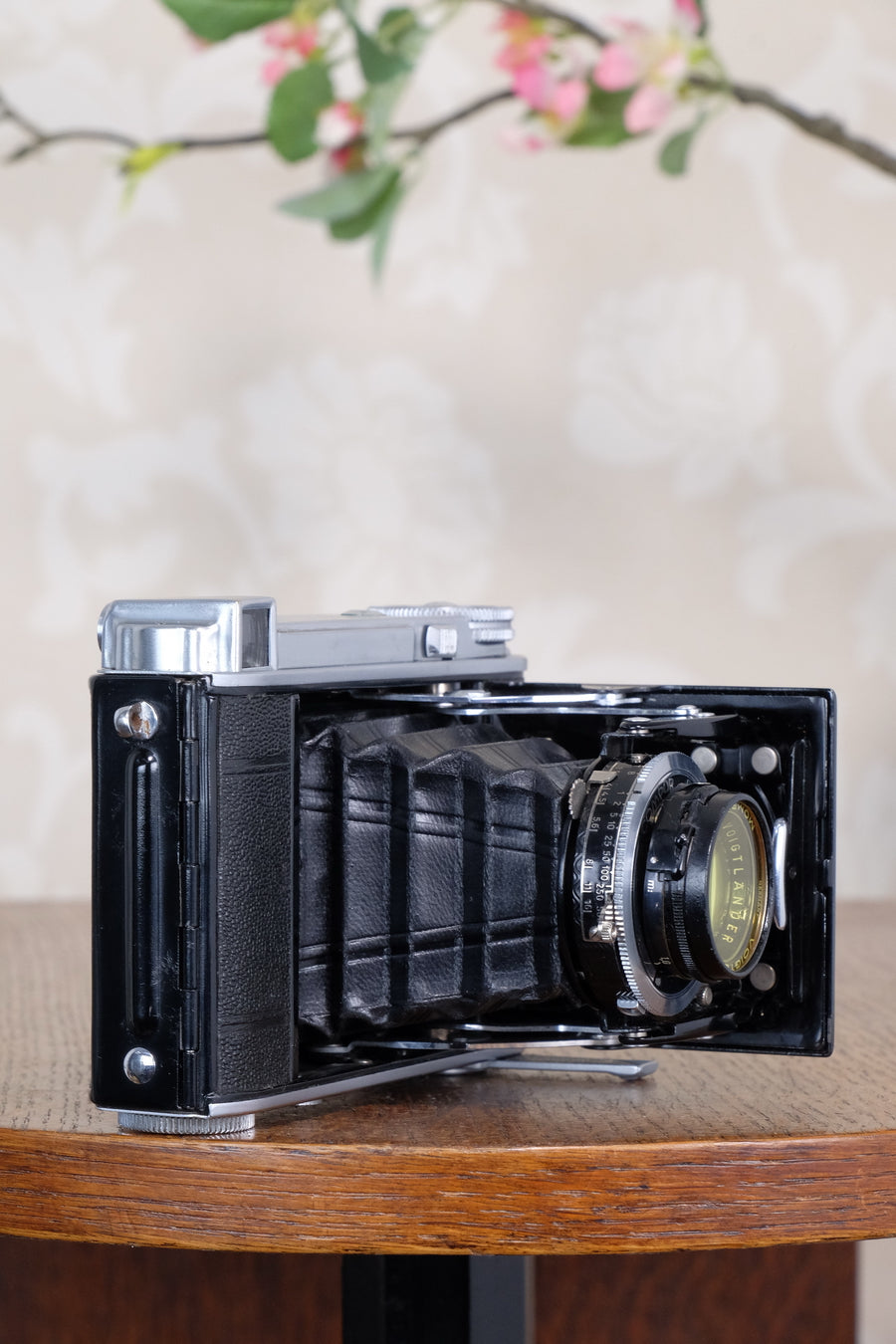 Rare! 1939 Voigtlander “Klein Bessa” 66 with Heliar lens! CLA'd, Freshly Serviced!