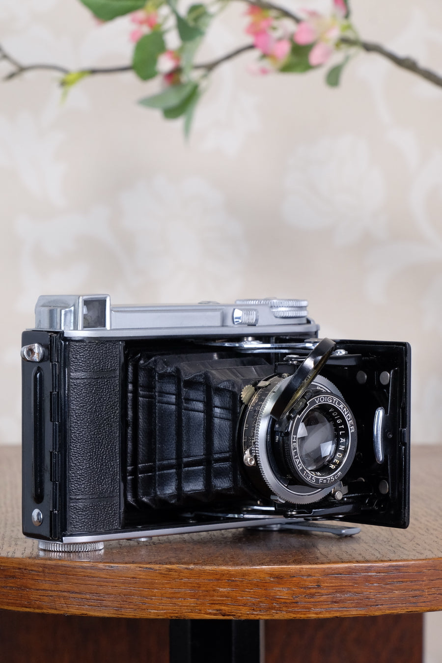 Rare! 1939 Voigtlander “Klein Bessa” 66 with Heliar lens! CLA'd, Freshly Serviced!