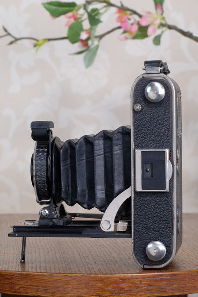 1935 Voigtlander Inos II 6x9 Folder, CLA’d, Freshly Serviced!