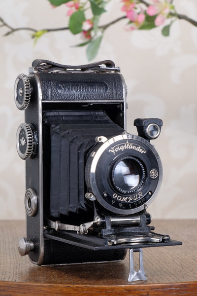 1935 Voigtlander Inos II 6x9 Folder, CLA’d, Freshly Serviced!