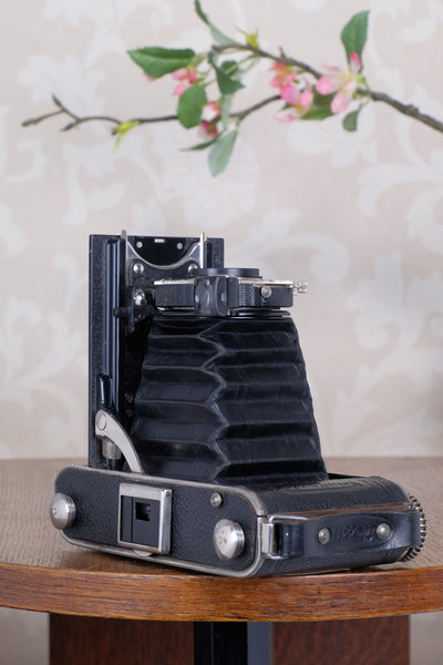 1935 Voigtlander Inos II 6x9 Folder, CLA’d, Freshly Serviced!