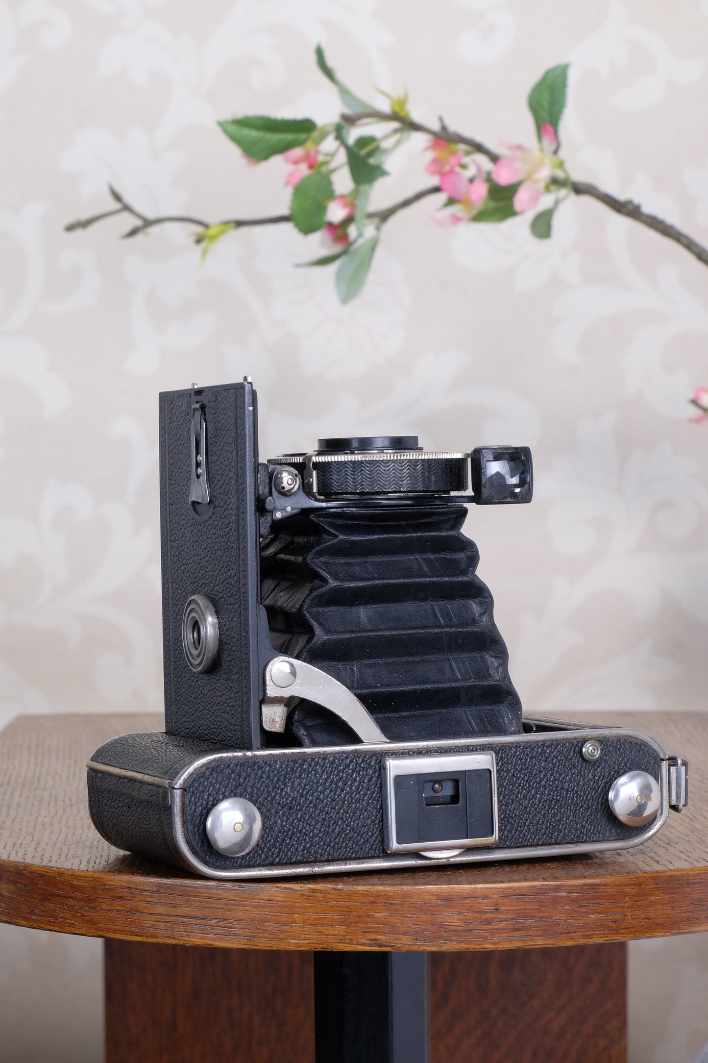 1935 Voigtlander Inos II 6x9 Folder, CLA’d, Freshly Serviced!
