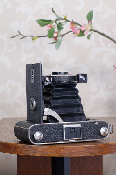 1935 Voigtlander Inos II 6x9 Folder, CLA’d, Freshly Serviced!