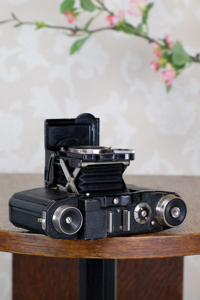 1935 Zeiss-Ikon Super Nettel (236/24), CLA'd, Freshly Serviced! - Zeiss-Ikon- Petrakla Classic Cameras