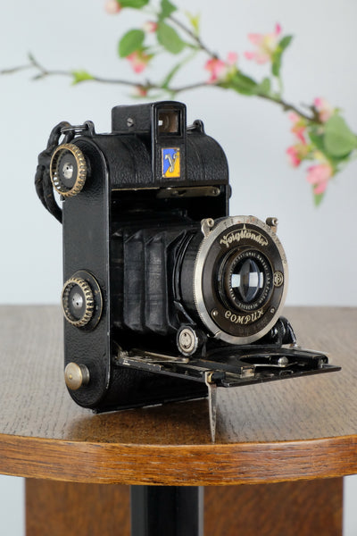 1934 Voigtlander Virtus 6x4.5 Folder, CLAd, Freshly Serviced! - Voigtlander- Petrakla Classic Cameras