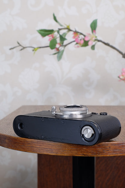 SUPERB! 1935 BLACK LEITZ LEICA II with Nickel Elmar and leather case, Freshly Serviced CLA'd!