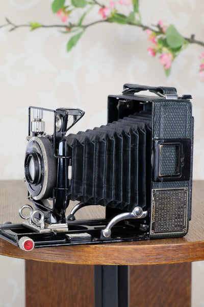 1933 Voigtlander Bergheil - The rare GREEN Luxus version, Heliar lens & 6x9 120 roll-film back. CLA’d. Freshly serviced! - Voigtlander- Petrakla Classic Cameras