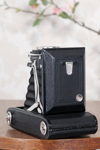 Superb! 1936 Zeiss Ikon 6x9 Super Ikonta, CLA'd, Freshly Serviced - Zeiss-Ikon- Petrakla Classic Cameras