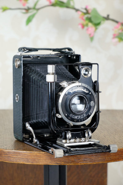 1933 Voigtlander Bergheil - The rare GREEN Luxus version, Heliar lens & 6x9 120 roll-film back. CLA’d. Freshly serviced! - Voigtlander- Petrakla Classic Cameras