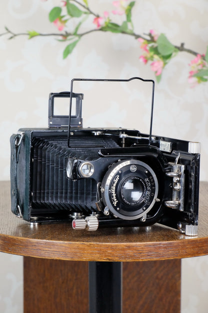 1933 Voigtlander Bergheil - The rare GREEN Luxus version, Heliar lens & 6x9 120 roll-film back. CLA’d. Freshly serviced! - Voigtlander- Petrakla Classic Cameras