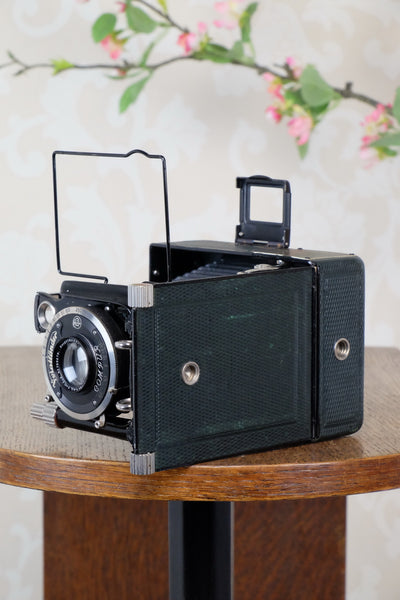 1933 Voigtlander Bergheil - The rare GREEN Luxus version, Heliar lens & 6x9 120 roll-film back. CLA’d. Freshly serviced! - Voigtlander- Petrakla Classic Cameras