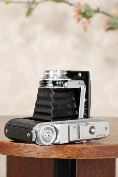 Near Mint! 1952 6x6 Voigtlander Perkeo II with Color-Skopar Lens & Synchro-Compur Shutter, CLA’d, Freshly Serviced! - Voigtlander- Petrakla Classic Cameras