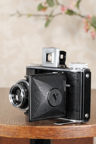Superb! 1946  Voigtlander “Baby Bessa“ 66, 6x6 camera, Skopar lens, CLA'd, Freshly Serviced! - Voigtlander- Petrakla Classic Cameras