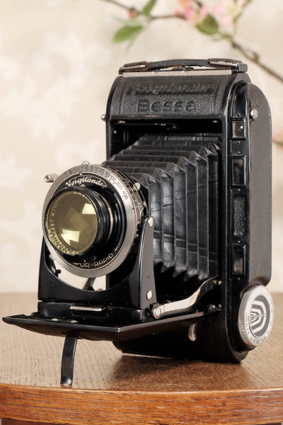 1936 Voigtlander Bessa Rangefinder with HELIAR LENS! 6x9, Freshly Serviced, CLA'd. - Voigtlander- Petrakla Classic Cameras