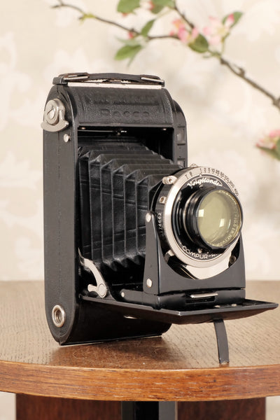 1936 Voigtlander Bessa Rangefinder with HELIAR LENS! 6x9, Freshly Serviced, CLA'd. - Voigtlander- Petrakla Classic Cameras