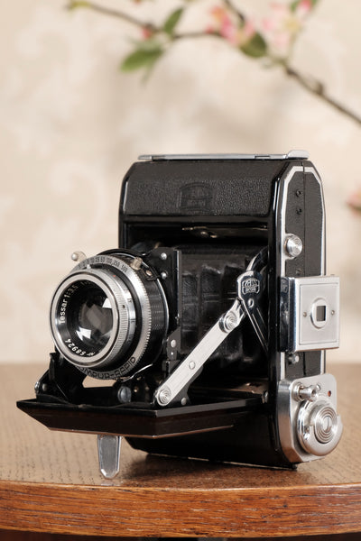 1947 Zeiss Ikon Ikonta, Freshly Serviced, CLA'd! - Zeiss-Ikon- Petrakla Classic Cameras
