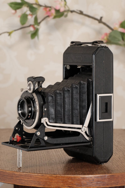 Superb! 1930 Zeiss-Ikon Ikonta 6x9, Freshly Serviced, CLA'd! - Zeiss-Ikon- Petrakla Classic Cameras