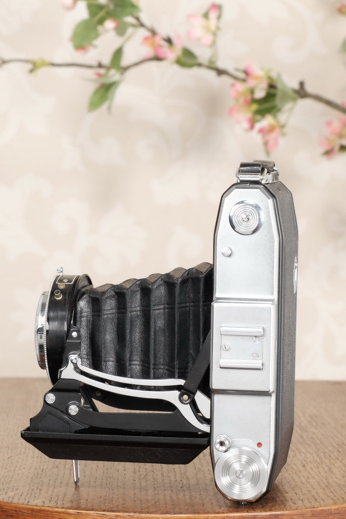 Superb! 1952 6x9 Zeiss-Ikon Nettar, CLA'd, Freshly Serviced! - Zeiss-Ikon- Petrakla Classic Cameras