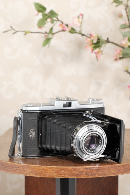 Superb! 1952 6x9 Zeiss-Ikon Nettar, CLA'd, Freshly Serviced! - Zeiss-Ikon- Petrakla Classic Cameras