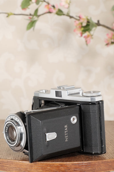 Superb! 1952 6x9 Zeiss-Ikon Nettar, CLA'd, Freshly Serviced! - Zeiss-Ikon- Petrakla Classic Cameras