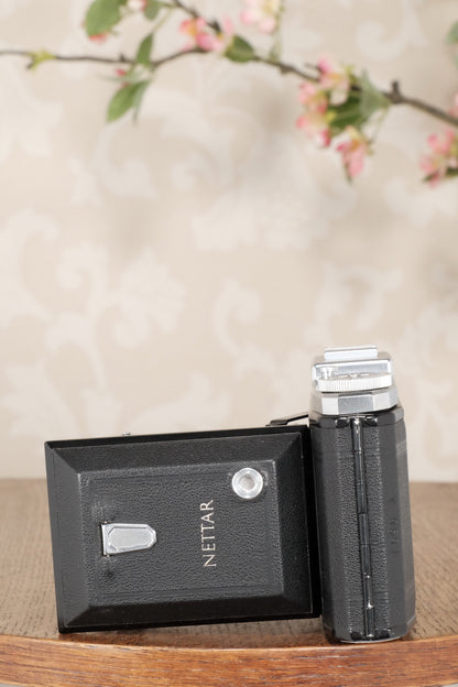 Superb! 1952 6x9 Zeiss-Ikon Nettar, CLA'd, Freshly Serviced! - Zeiss-Ikon- Petrakla Classic Cameras