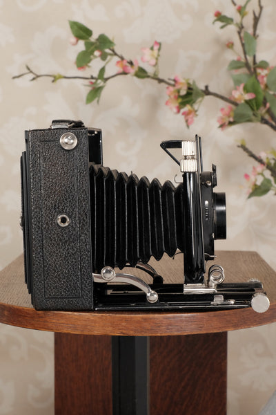 Superb! 1927 Voigtlander 9x12 Bergheil Camera with Heliar Lens!  Freshly serviced, CLA’d! - Voigtlander- Petrakla Classic Cameras