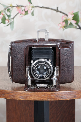 SUPERB! Rare 1934 Ebner 6x4.5 Brown Bakelite Art Deco Camera. Freshly serviced , CLA‘d