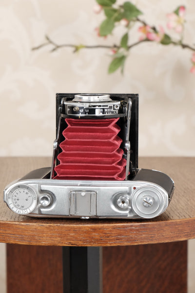 Superb, circa 1955 Agfa 6x6 Isolette II with custom red bellows, Freshly Serviced! CLA'd - Agfa- Petrakla Classic Cameras