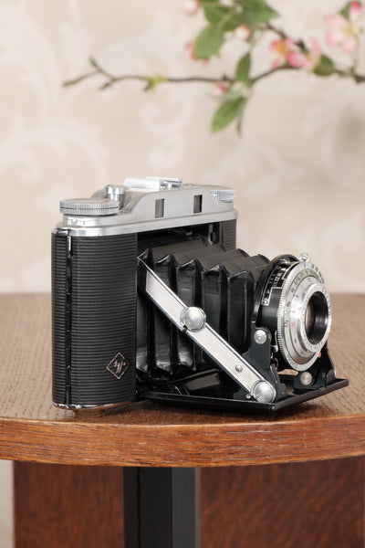 Superb, circa 1955 Agfa 6x6 Isolette III, Freshly Serviced! CLA'd - Agfa- Petrakla Classic Cameras