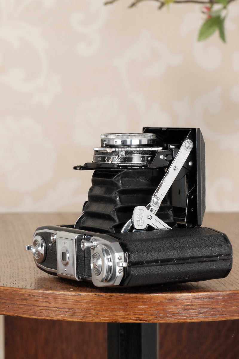 1937 Zeiss Ikon Ikonta, Freshly Serviced, CLA'd! - Zeiss-Ikon- Petrakla Classic Cameras