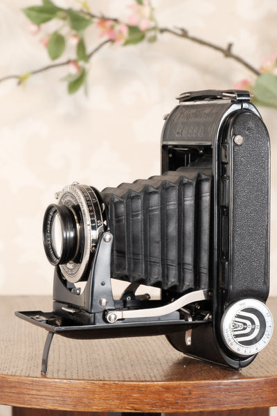 1935 Voigtlander Bessa Rangefinder with HELIAR LENS! 6x9. Freshly Serviced, CLA'd. - Voigtlander- Petrakla Classic Cameras