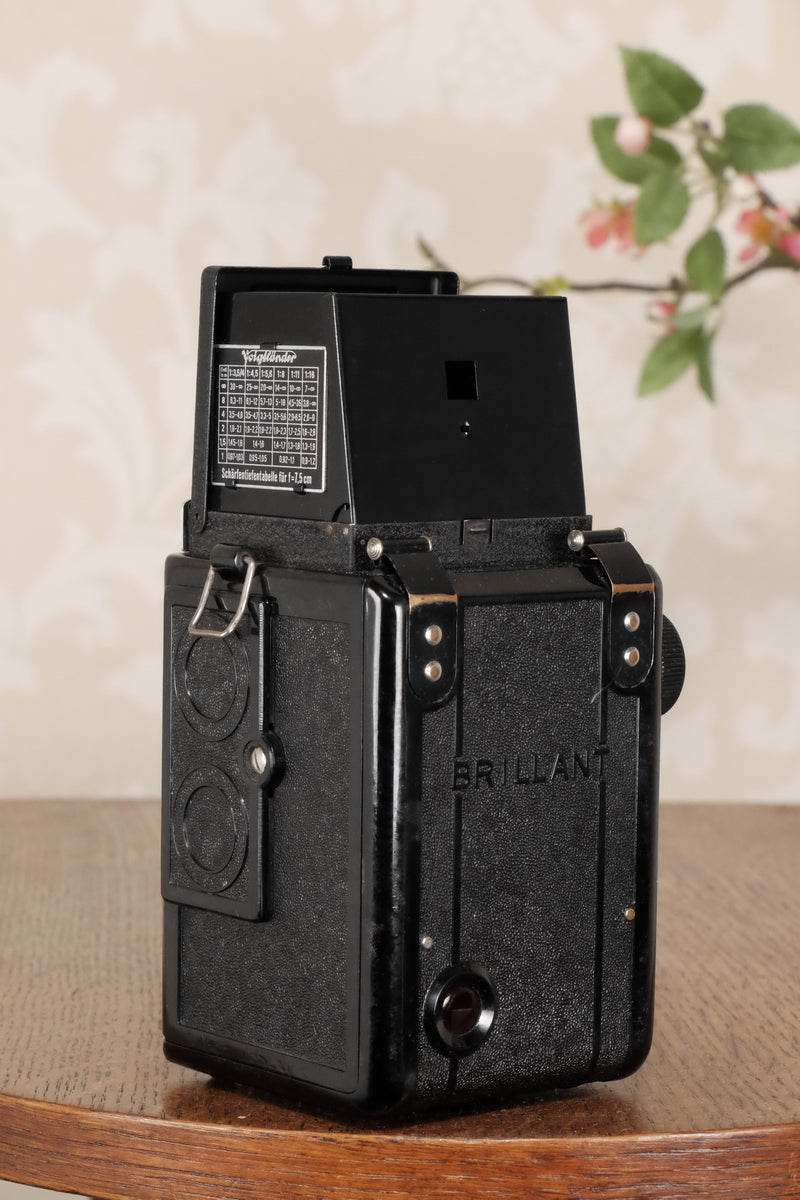 1939 Voigtlander Brillant 6x6 TLR, CLA'd, Freshly Serviced! - Voigtlander- Petrakla Classic Cameras