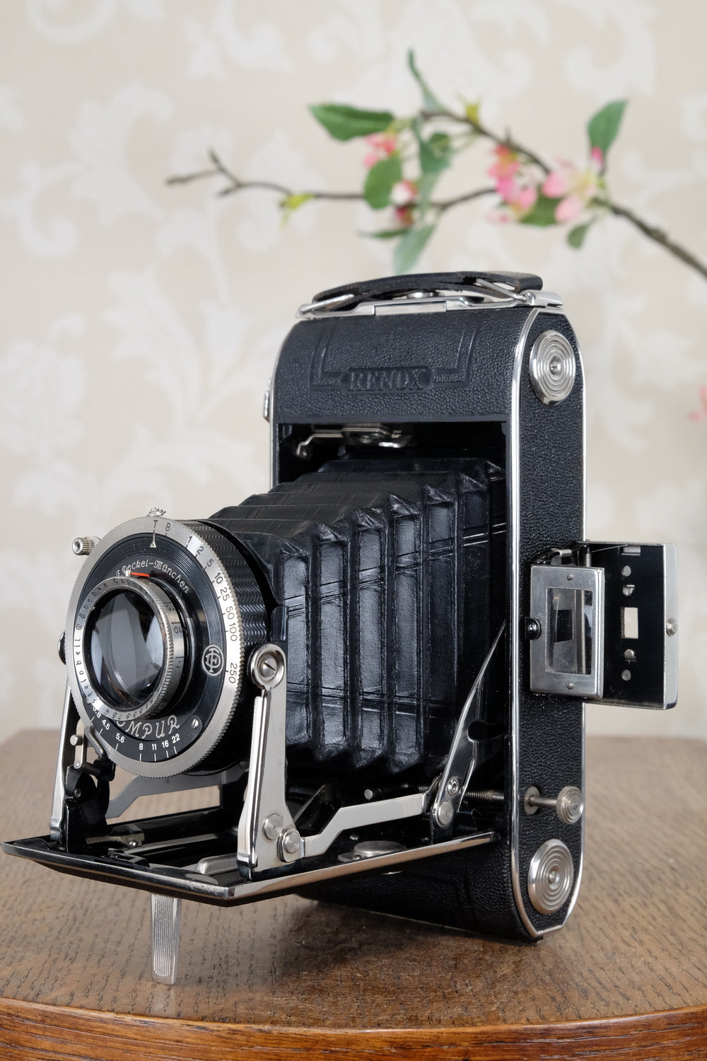 Near Mint! 1937 6x9 Herlango Renox . CLA'd, Freshly Serviced!
