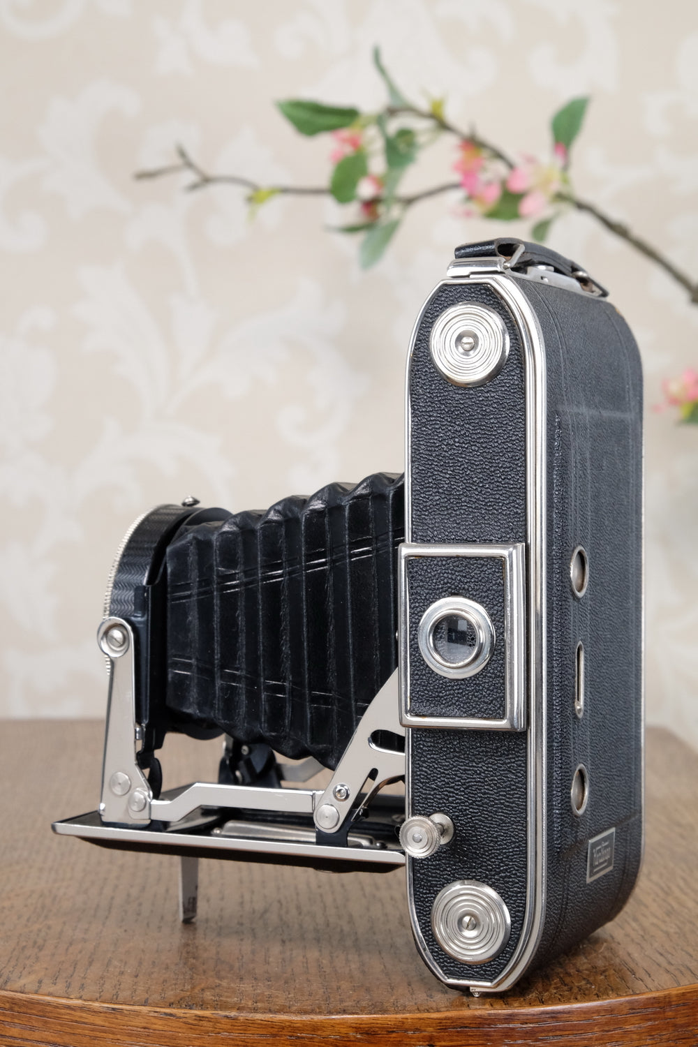 Near Mint! 1937 6x9 Herlango Renox . CLA'd, Freshly Serviced!