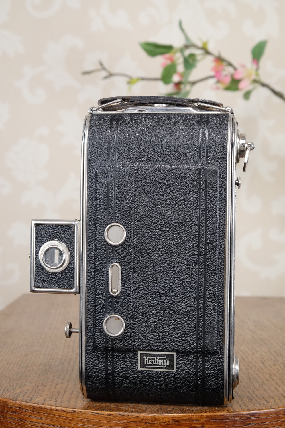 Near Mint! 1937 6x9 Herlango Renox . CLA'd, Freshly Serviced!
