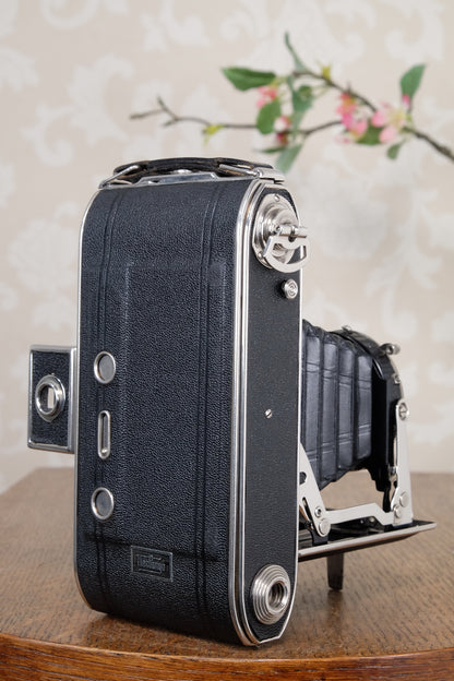 Near Mint! 1937 6x9 Herlango Renox . CLA'd, Freshly Serviced!