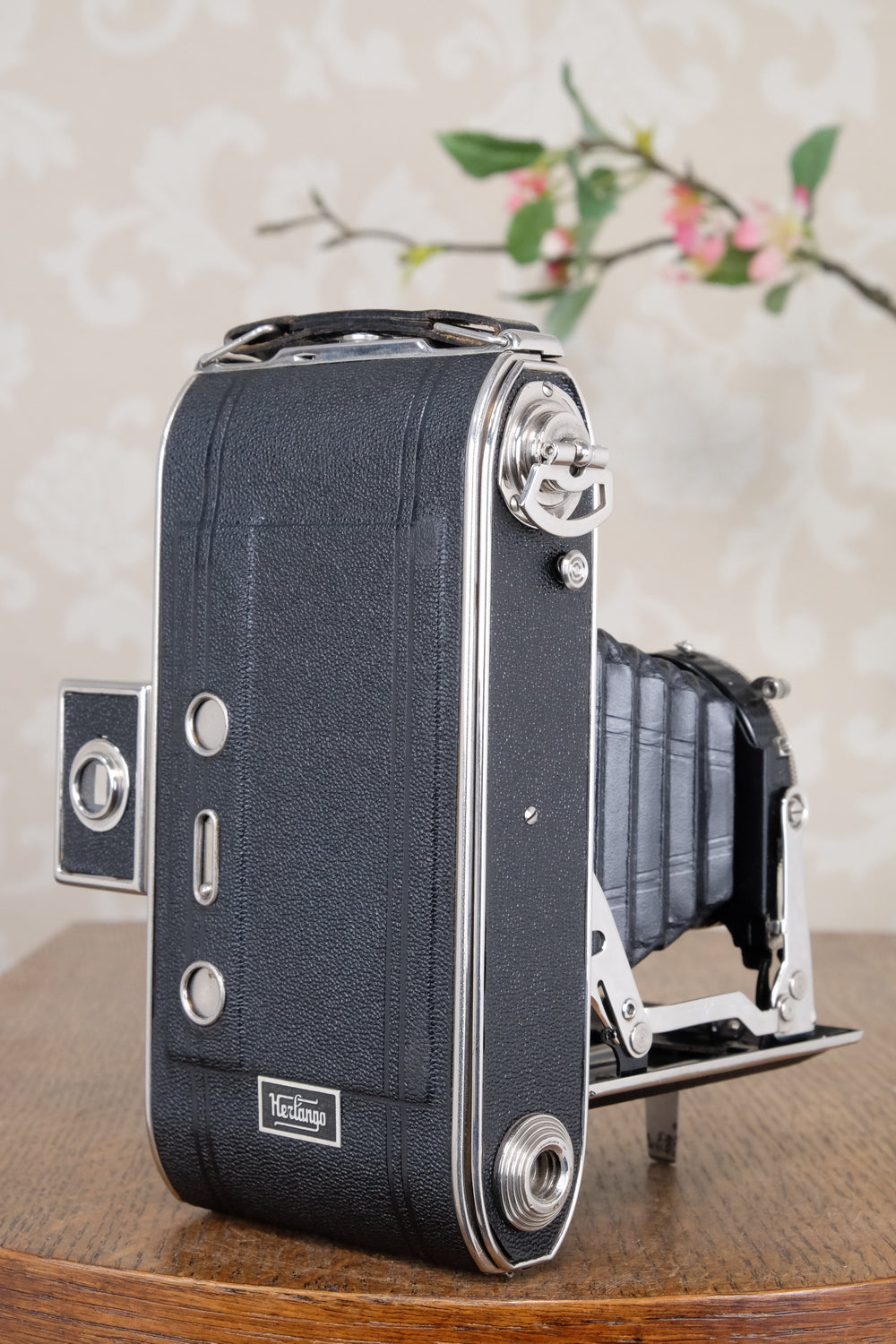 Near Mint! 1937 6x9 Herlango Renox . CLA'd, Freshly Serviced!