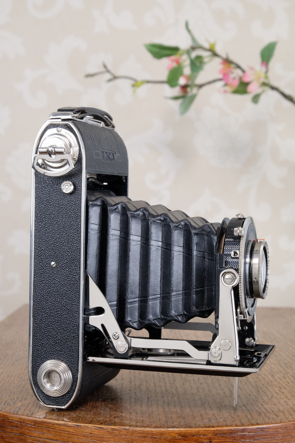 Near Mint! 1937 6x9 Herlango Renox . CLA'd, Freshly Serviced!
