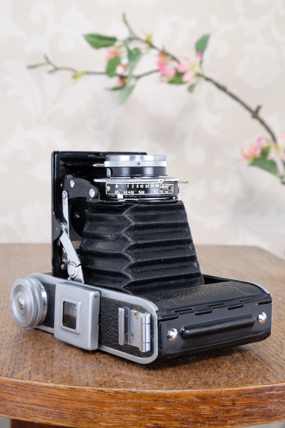 Superb! 1945 Voigtlander “Klein Bessa” 66. CLA'd, Freshly Serviced!
