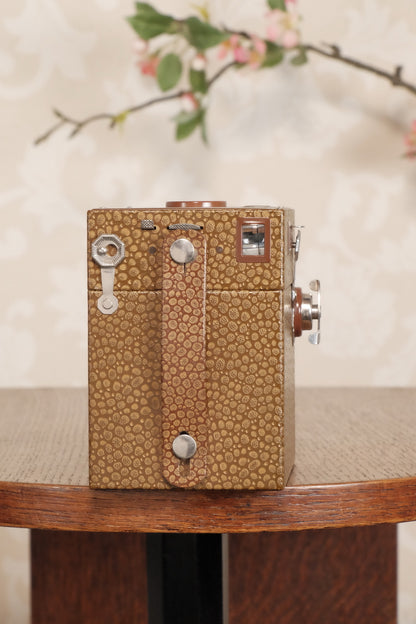 Superb! 1932 Art Deco Beau Brownie with its desirable original matching case, CLA'd, Freshly Serviced! - Kodak- Petrakla Classic Cameras